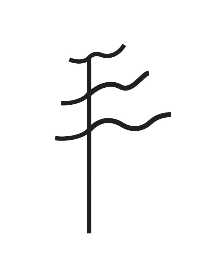 Talking Forest Pine © 2009, Kay Broome