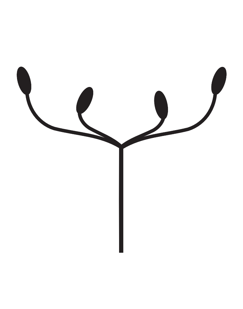 About the Talking Forest Runes Book