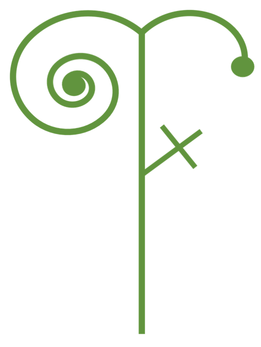 Talking Forest – Beltane Fieldnotes