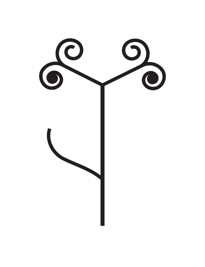 Talking Forest Elder © 2009, Kay Broome